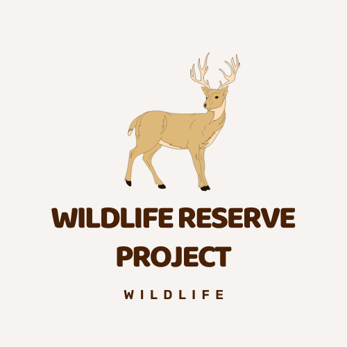 Wildlife Reserve Project
